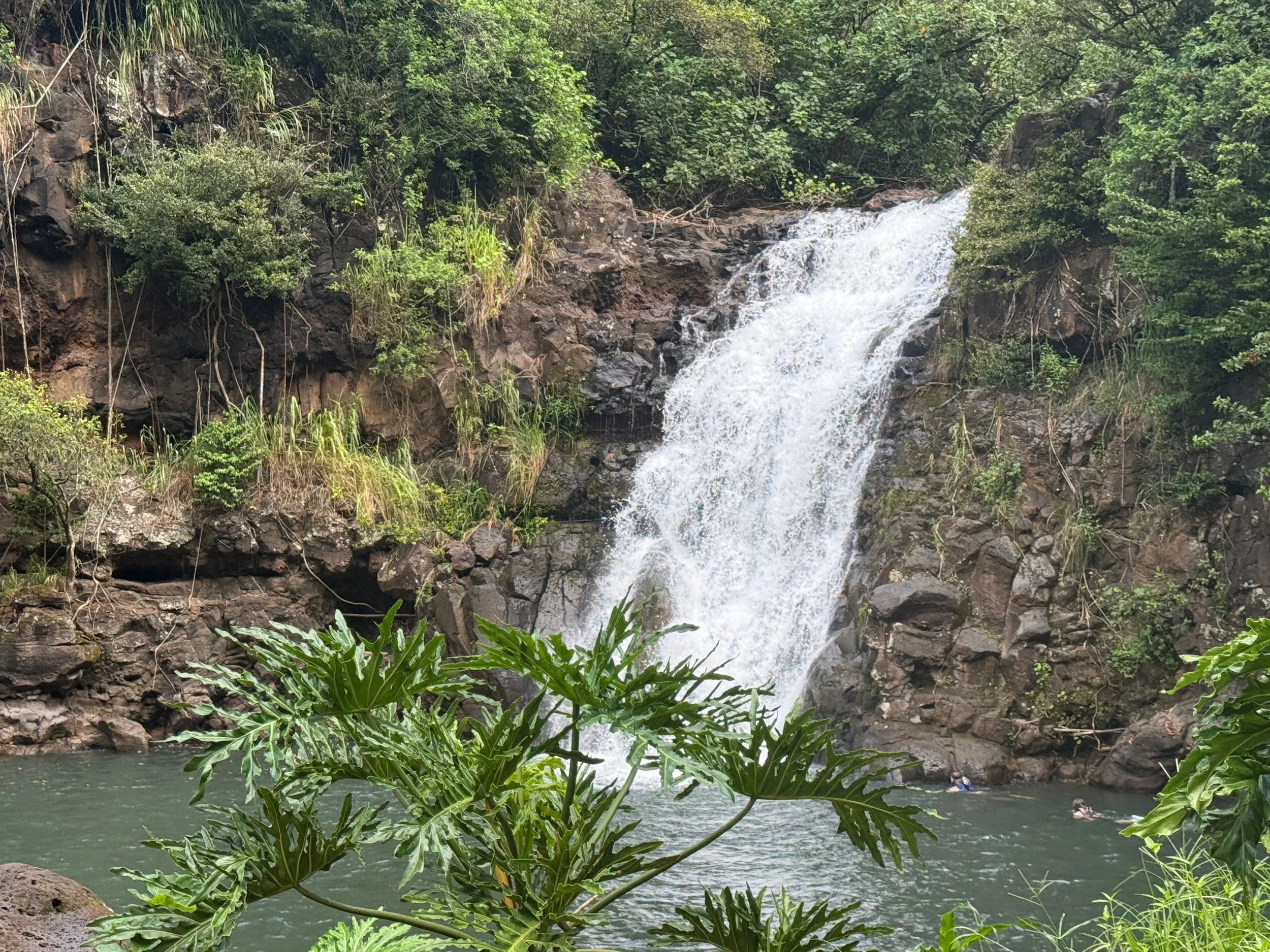 IMG_3843.jpeg