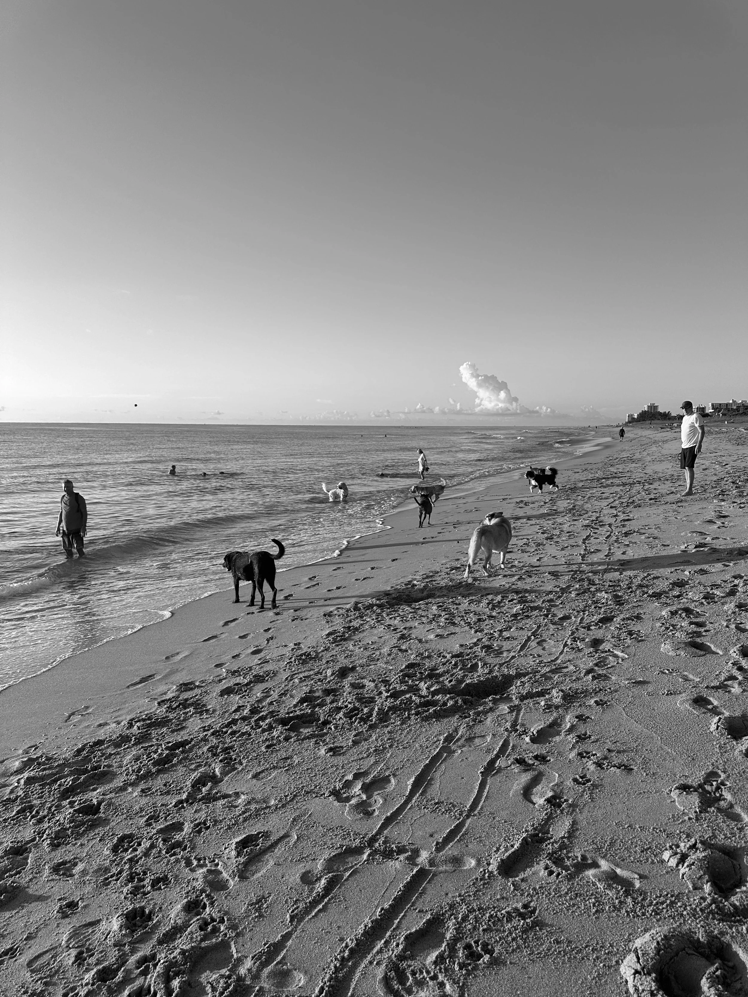 IMG_4263.JPG