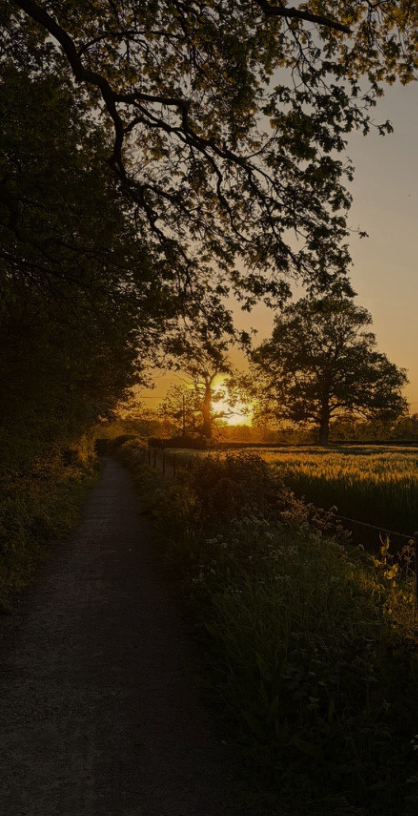 A spring-time dusk view across West Sussex.