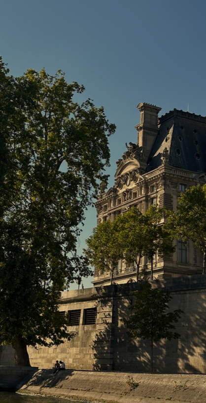 A photo from the Seine in Paris, a large tree lingers to the left of a grand building on the right.
