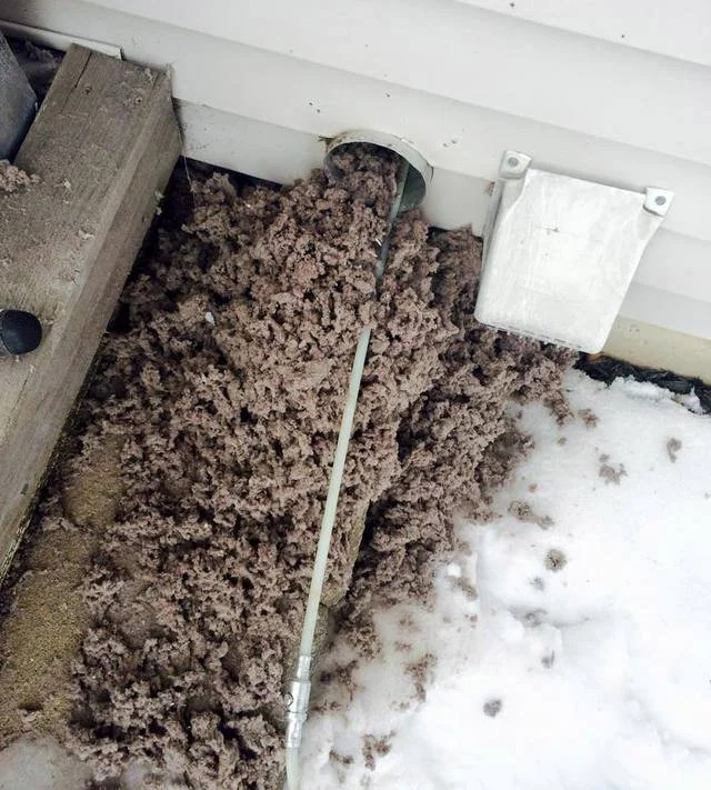 dryer vent cleanings