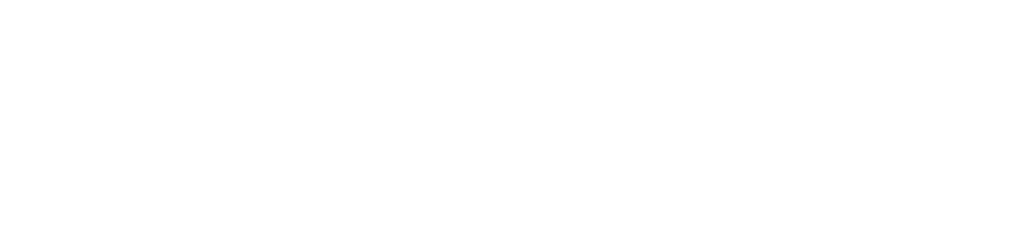 Logo Luzern Plus