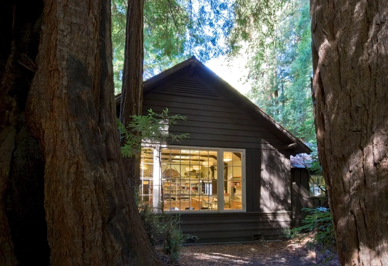 bigbasin3.webp