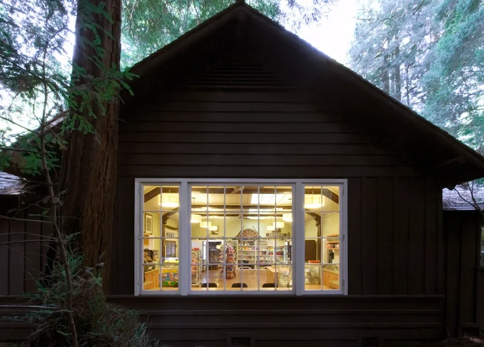 A cozy wooden house in a forest, illuminated from inside, showing bookshelves and furniture through a large window.