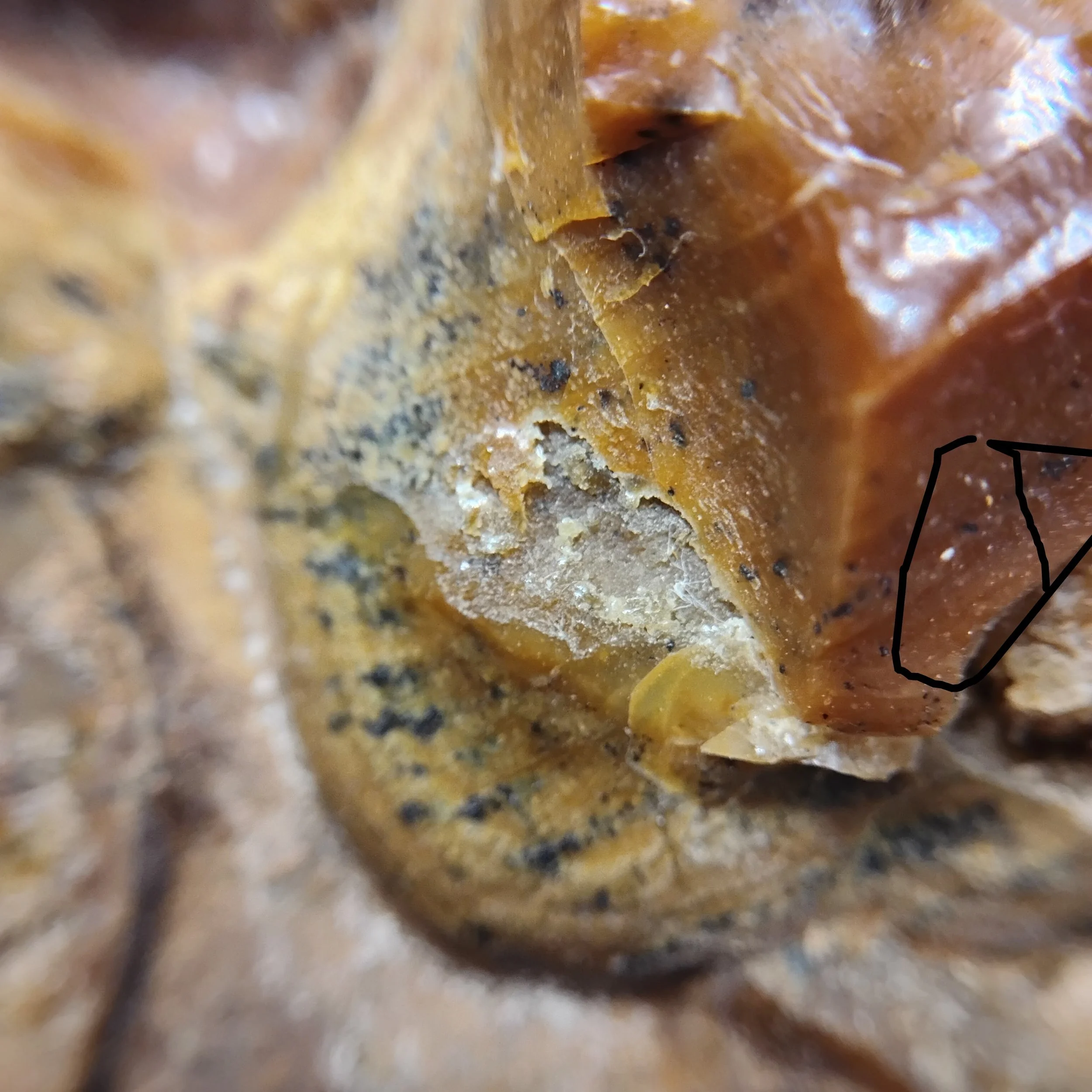 Close-up view of a rough, textured surface with yellowish, brown, and black patches, possibly a mineral or rock formation.