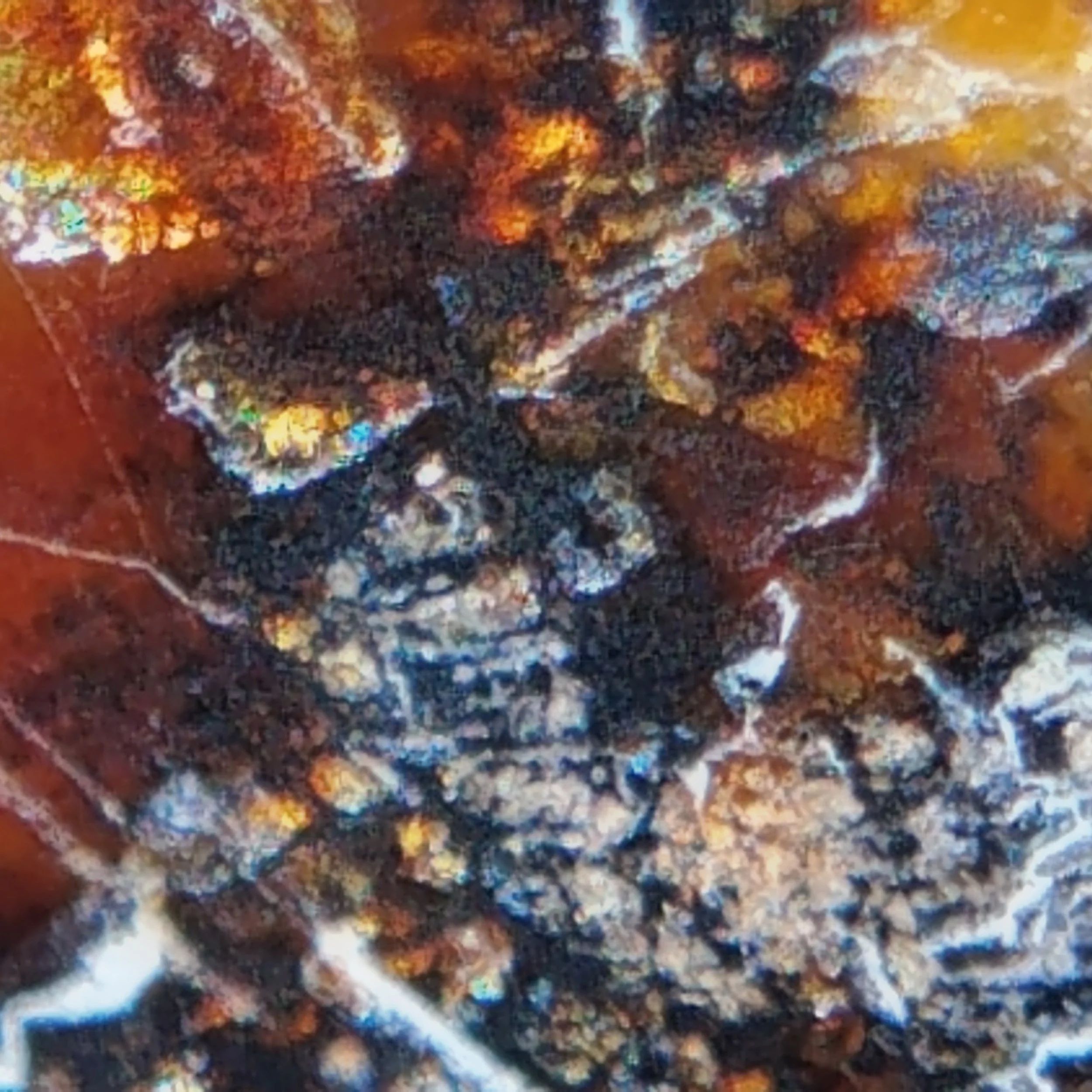 Another macro-photo of the native metallic inclusions within the opal matrix.
