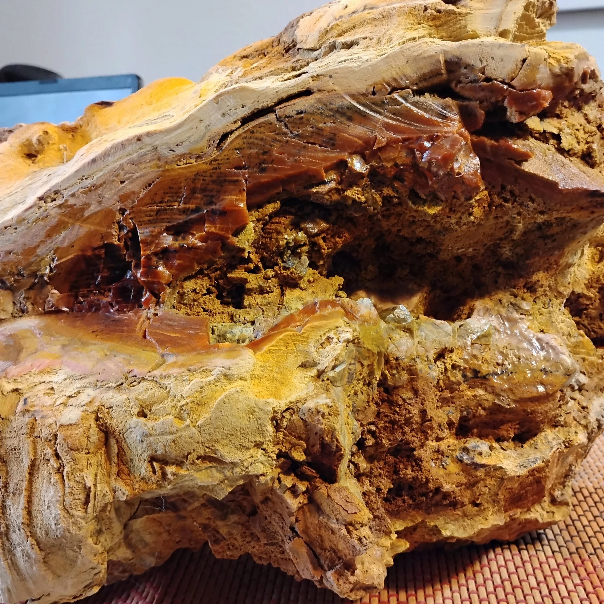 The bottom of the root mass area. Opal and Cellular structure within a Pupal Chamber. Evidence of insect tunnels abound.
