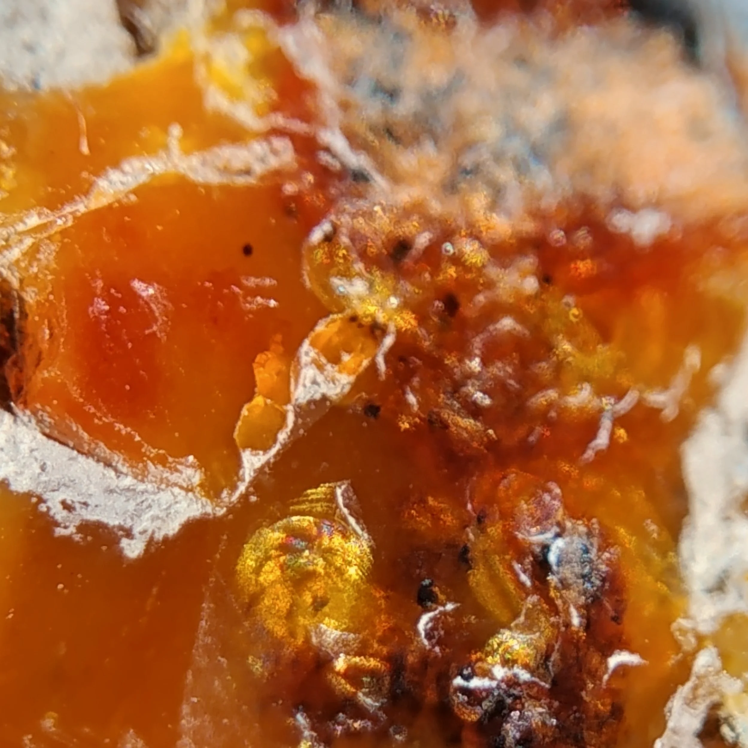 Another macro-photo of the native metallic inclusions within the opal matrix.