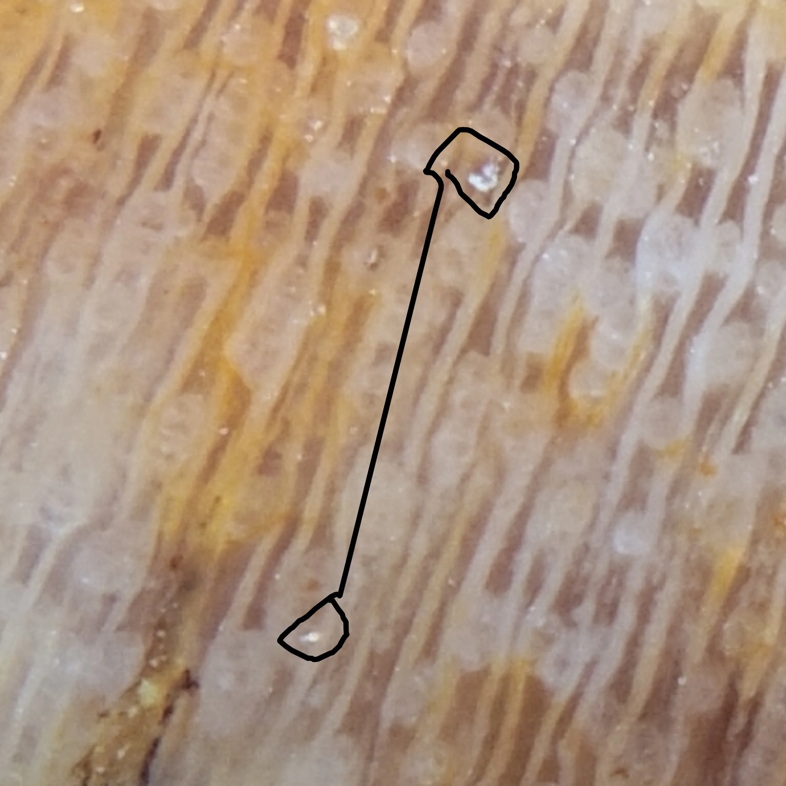 Silver inclusions within the Opal matrix. 