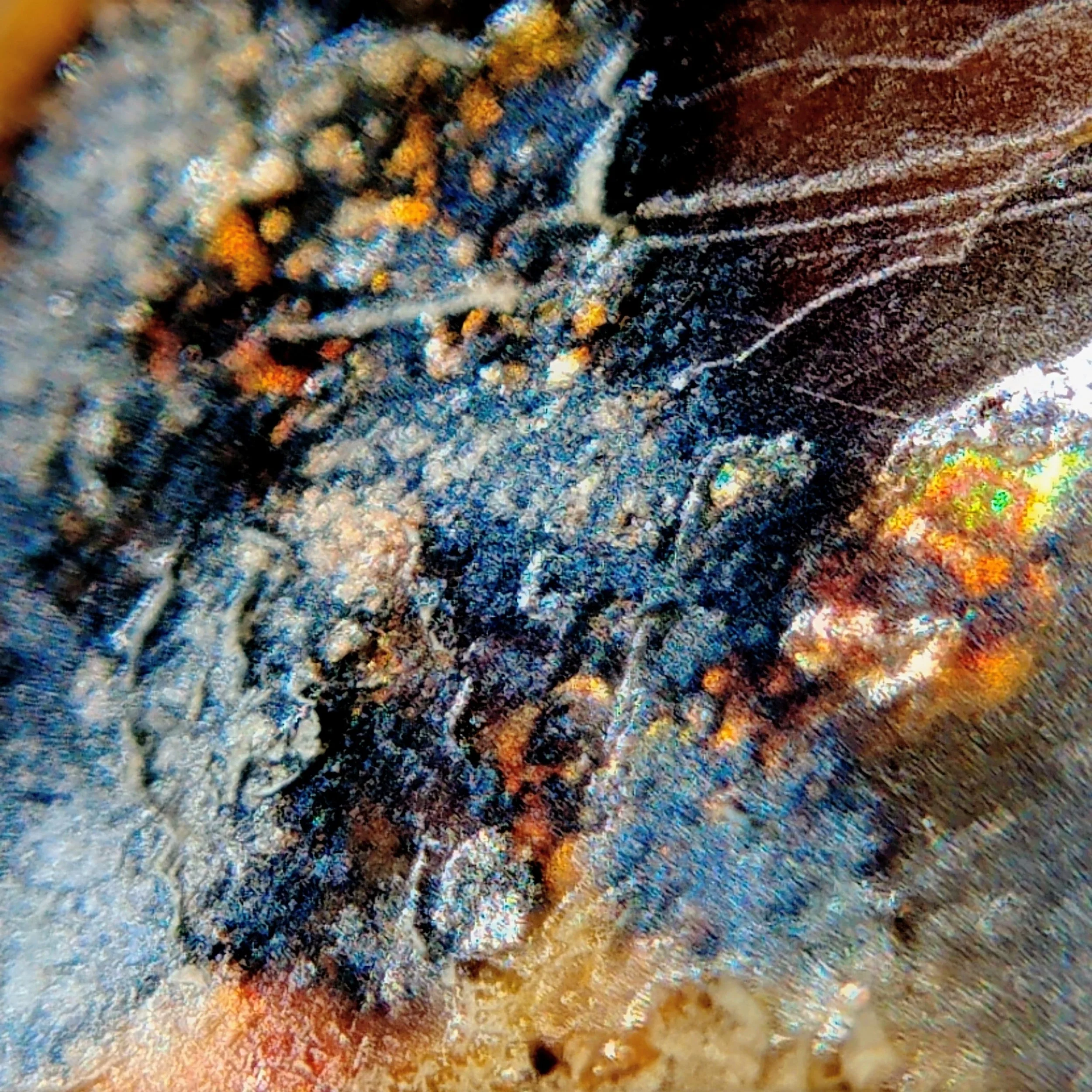 Another macro-photo of the opal with native metallic inclusions.
