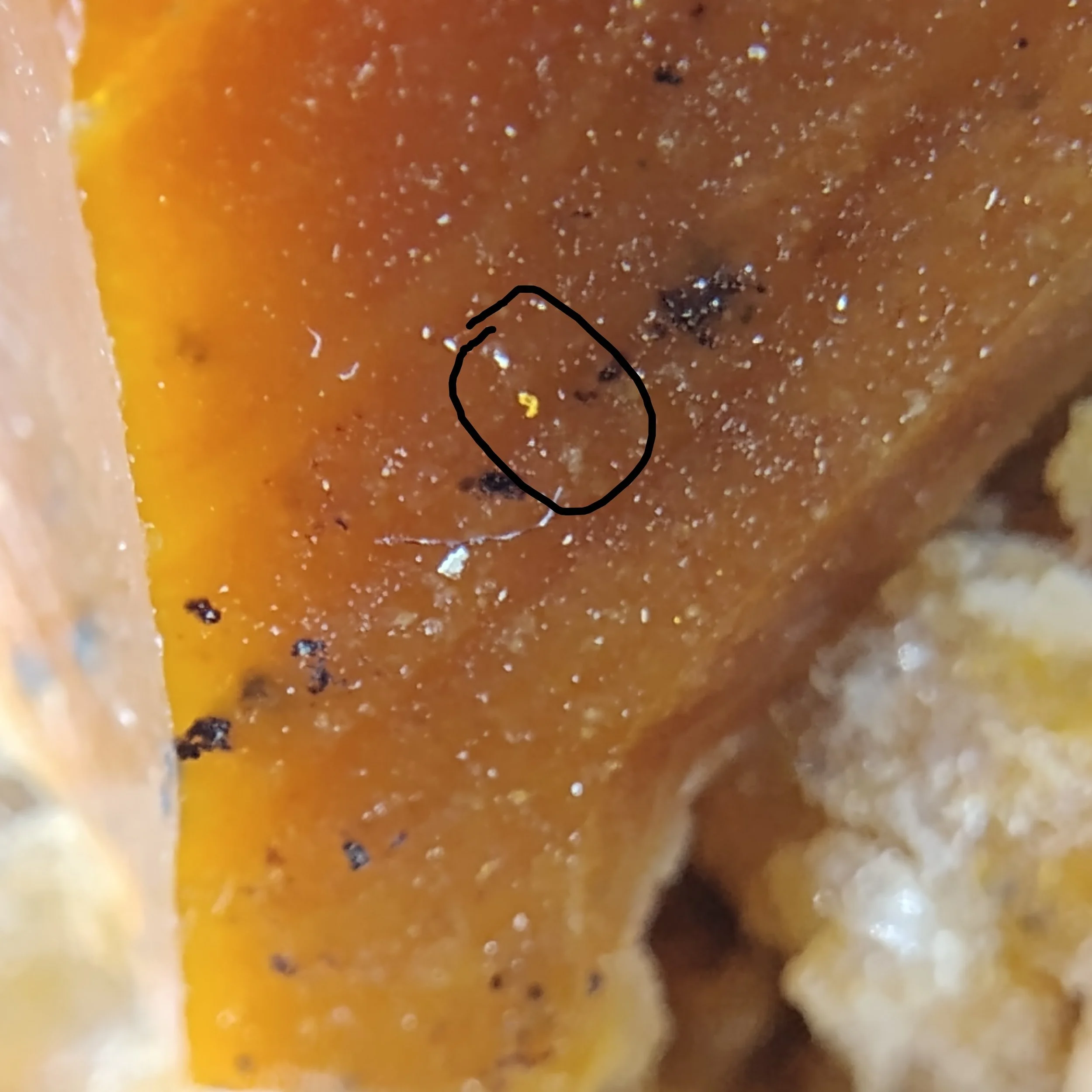 GOLD! Precious metallic inclusions within the Opal matrix. Can you see the other metals?