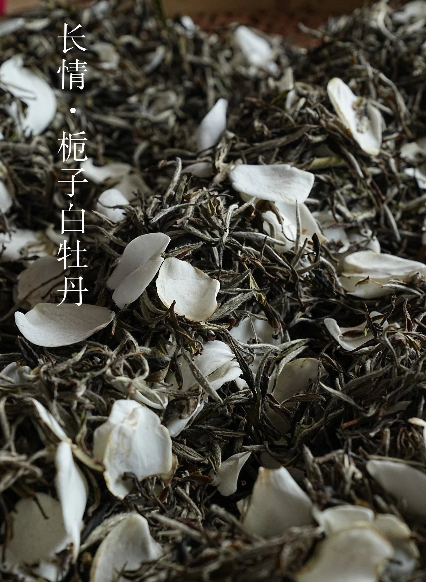 tea-6.jpg