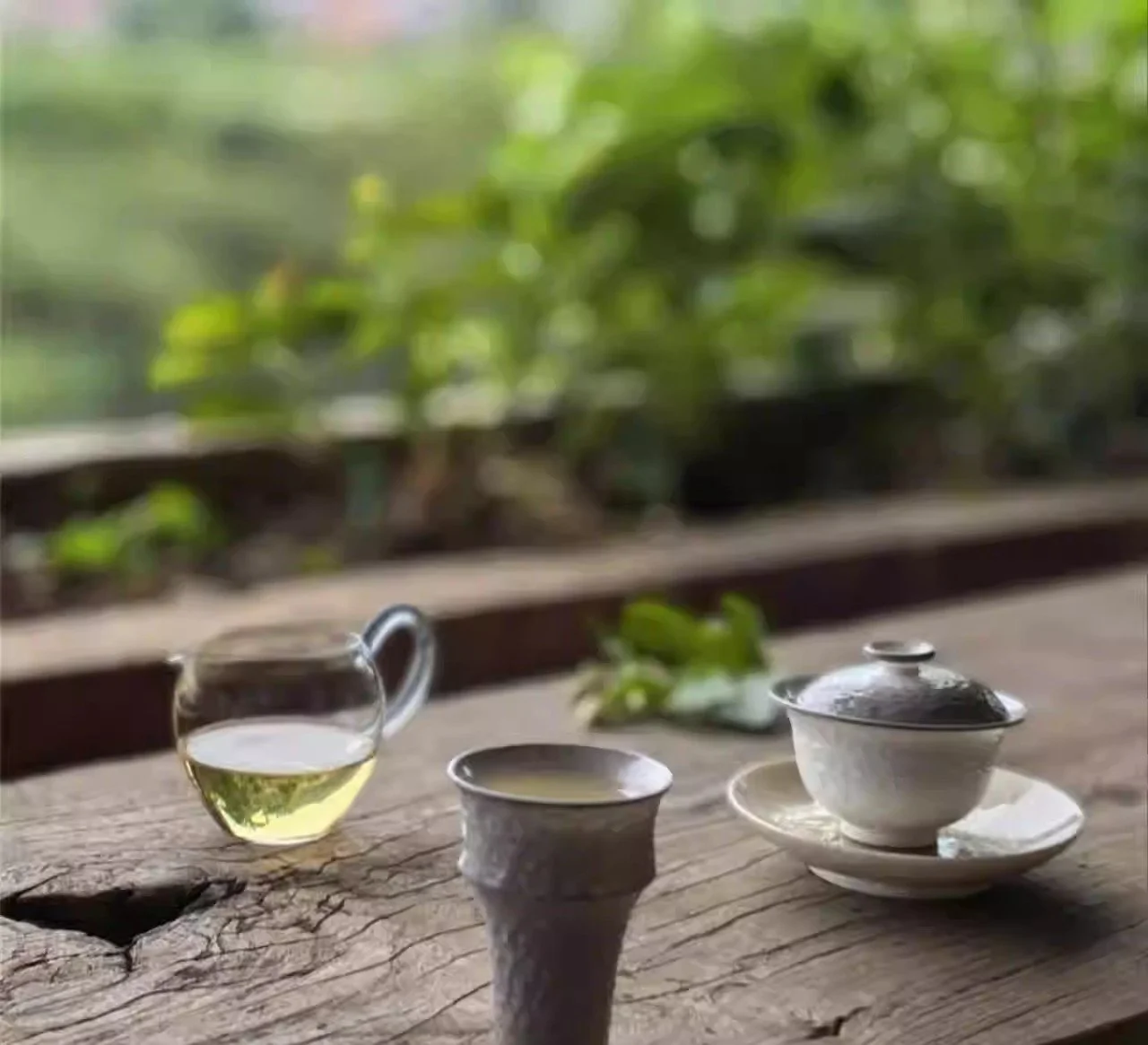 tea-2.jpg