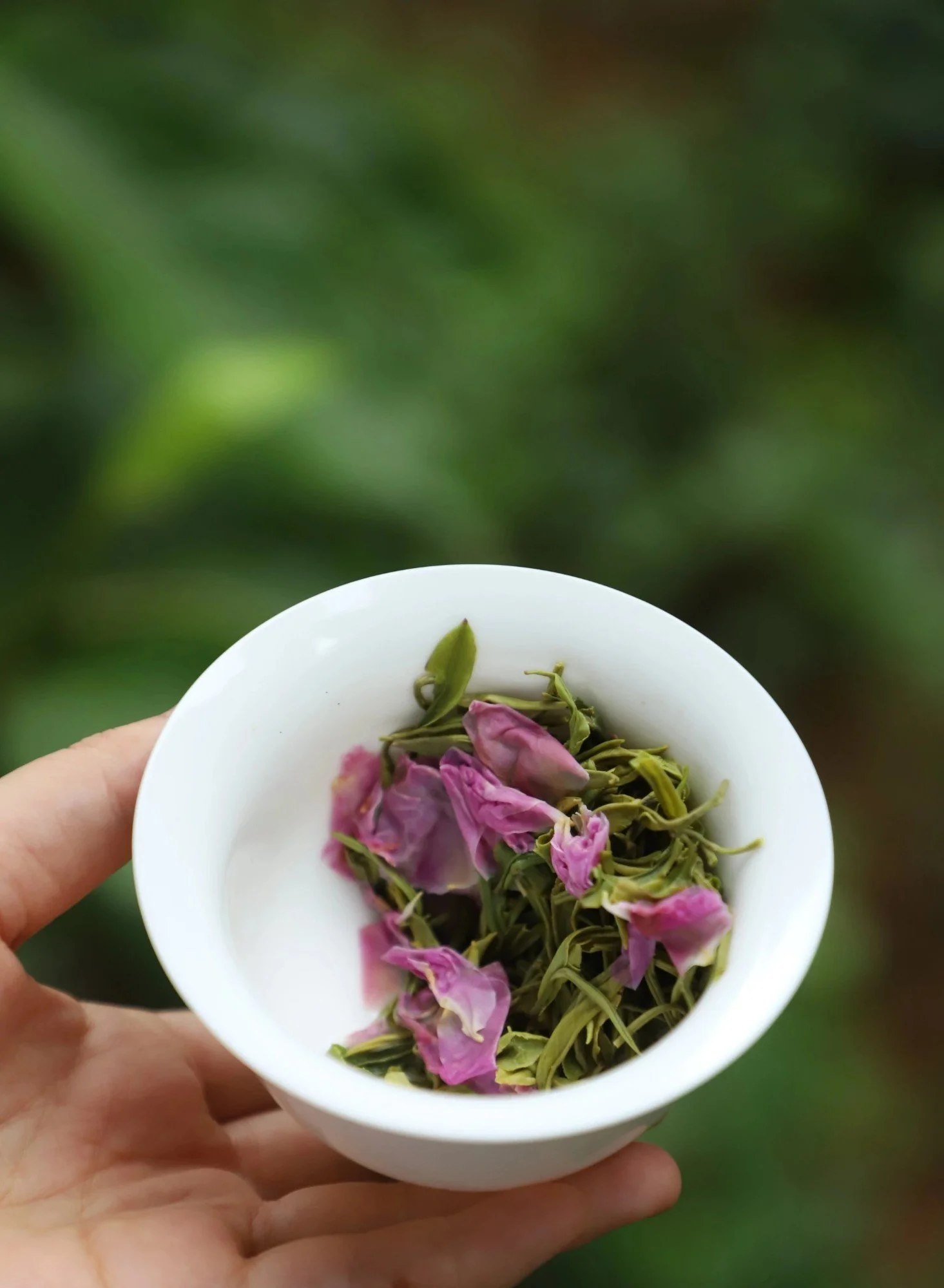 tea-2.jpg