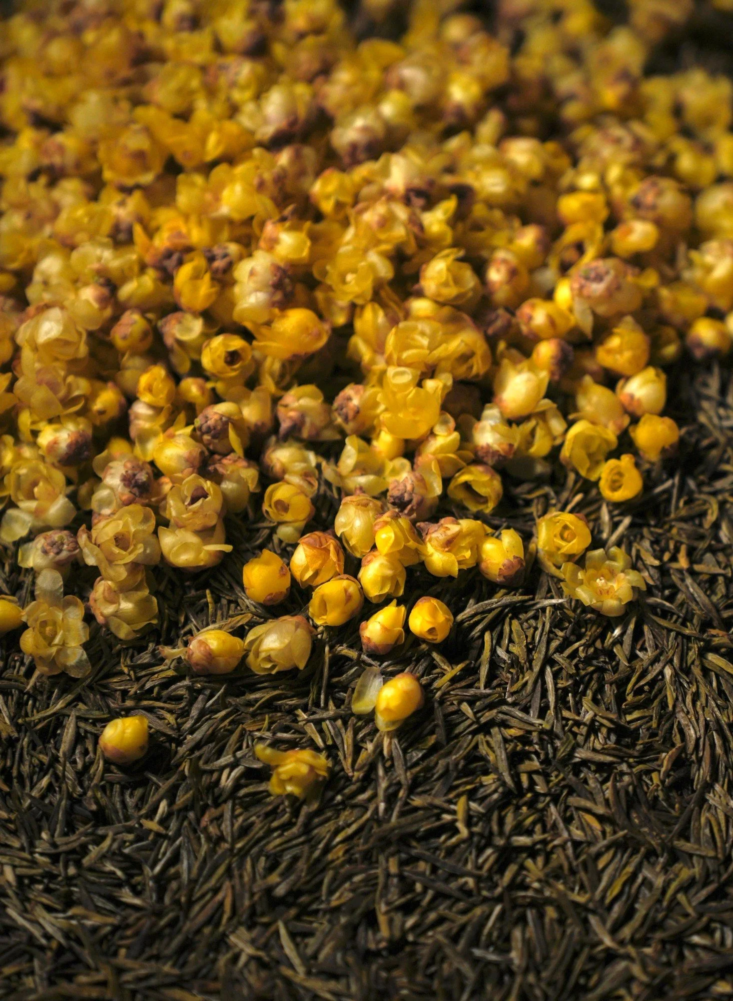 tea-8.jpg