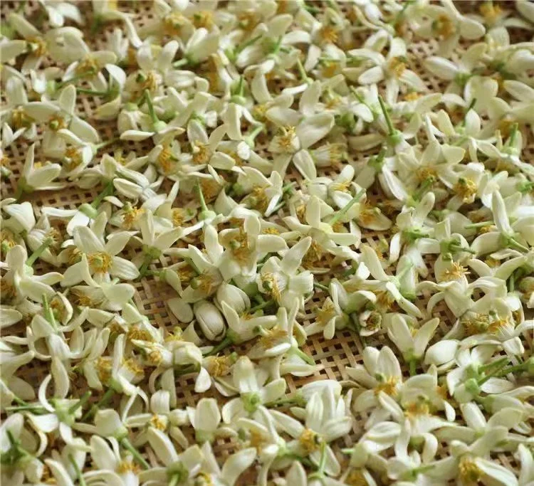 tea-6.jpg