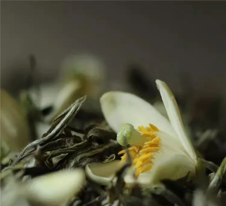 tea-1.jpg