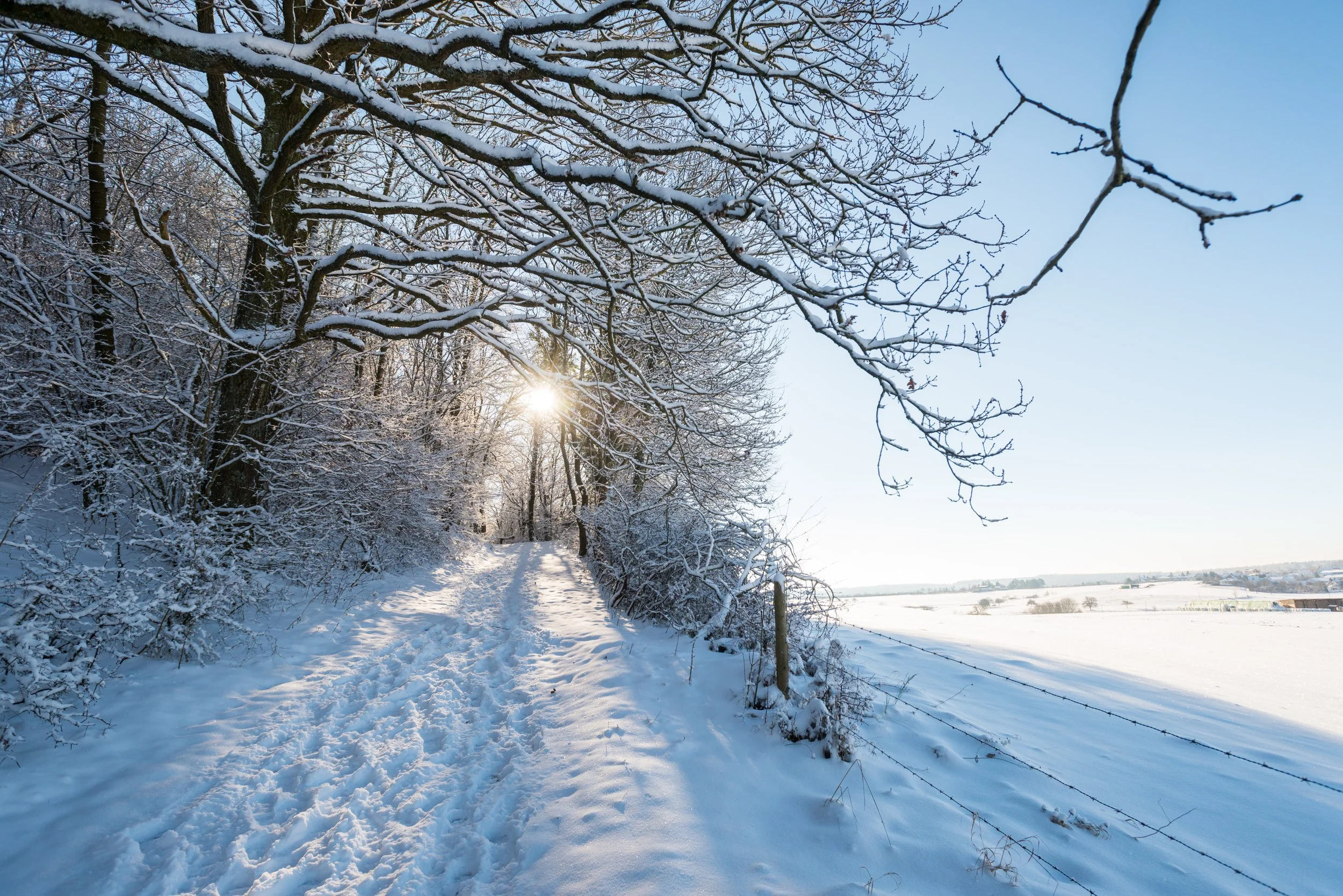 Urlaub im Winter am Nürburgring - Trackwalk - Spaziergang - Kurzurlaub Eifel Winterlandschaft - Ferienzimmer - Gästezimmer Winterurlaub - Weihnachtszeit Eifel - Christmas Greenhell - Unterkunft Geschenk - Alpakawanderung Eifel