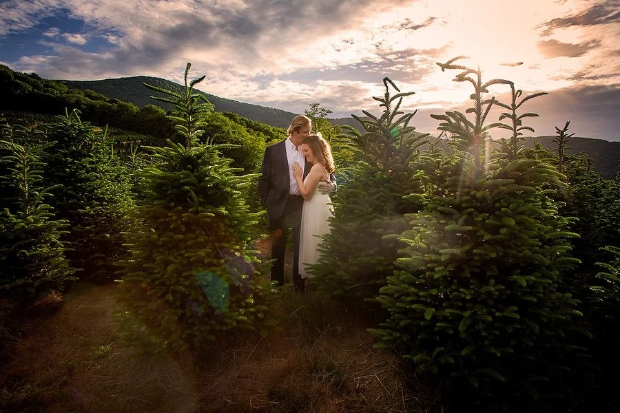 Somewhere in Newland there&rsquo;s this amazing Christmas Tree Farm with a view.. and the best part was the family that owned it gained a new member and I got to document the wedding 🌲🌲🌲 I am thrillled to show off a couple favorites for the newlyw