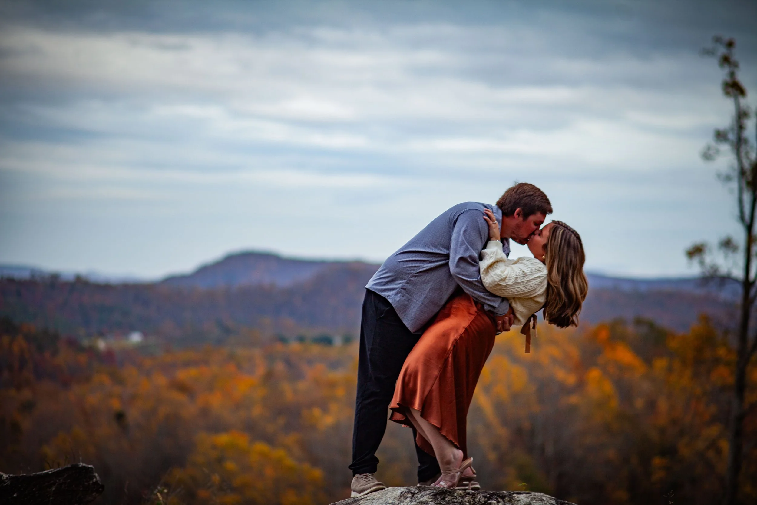 HandDproposal162.jpg