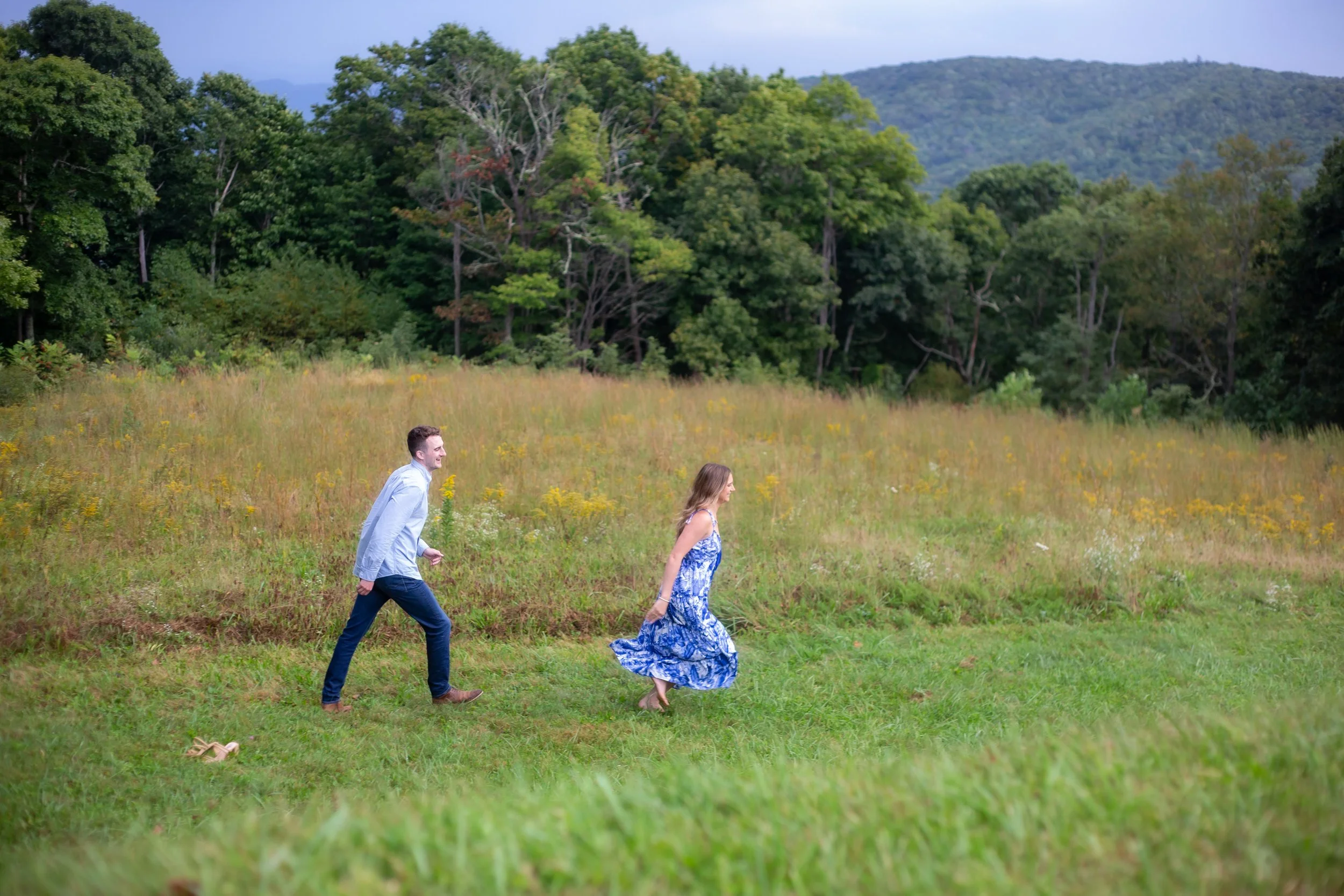 LinvilleProposal127.jpg