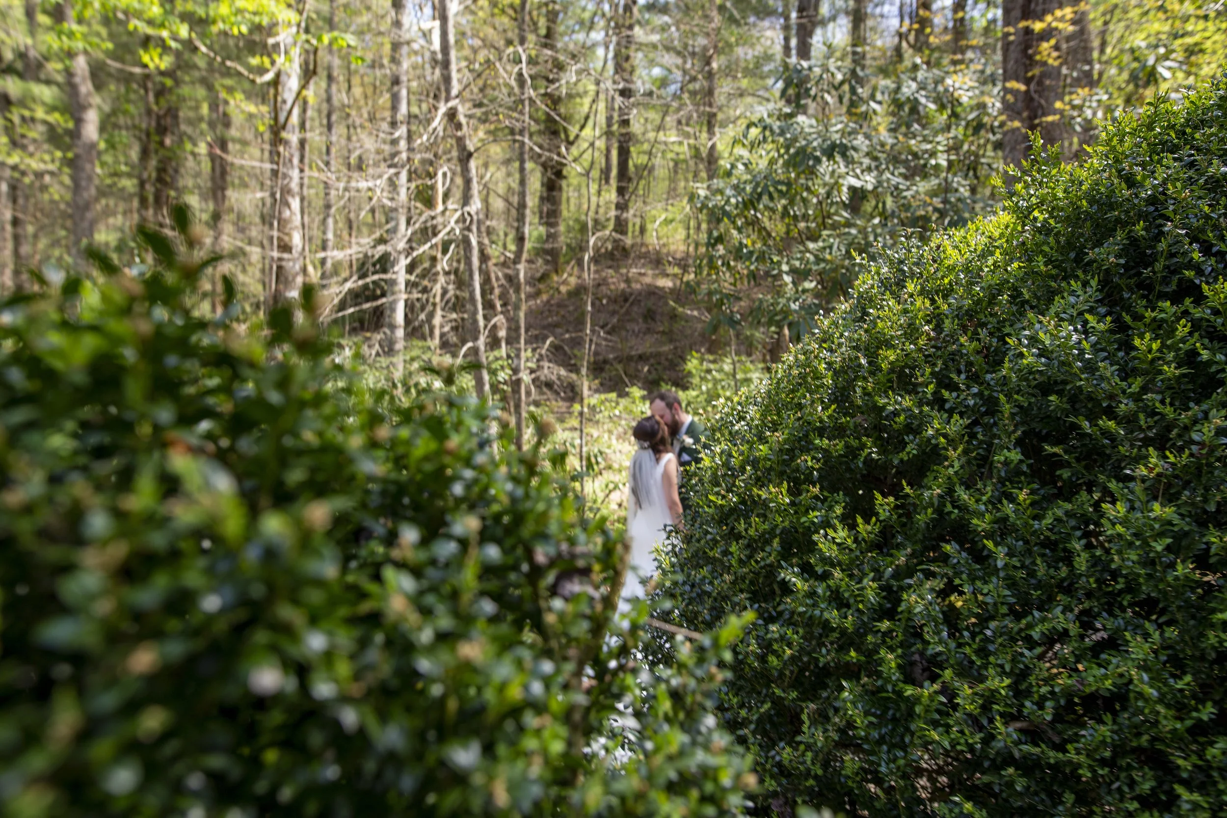 bettys-creek-vineyard-wedding119.jpg