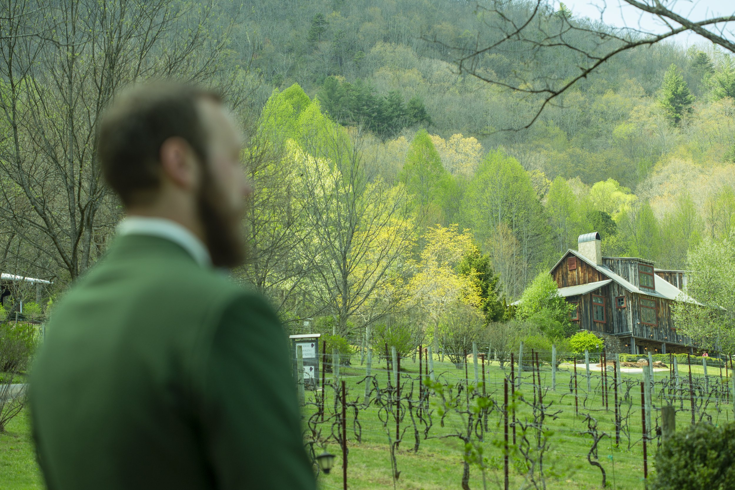 bettys-creek-vineyard-wedding115.jpg