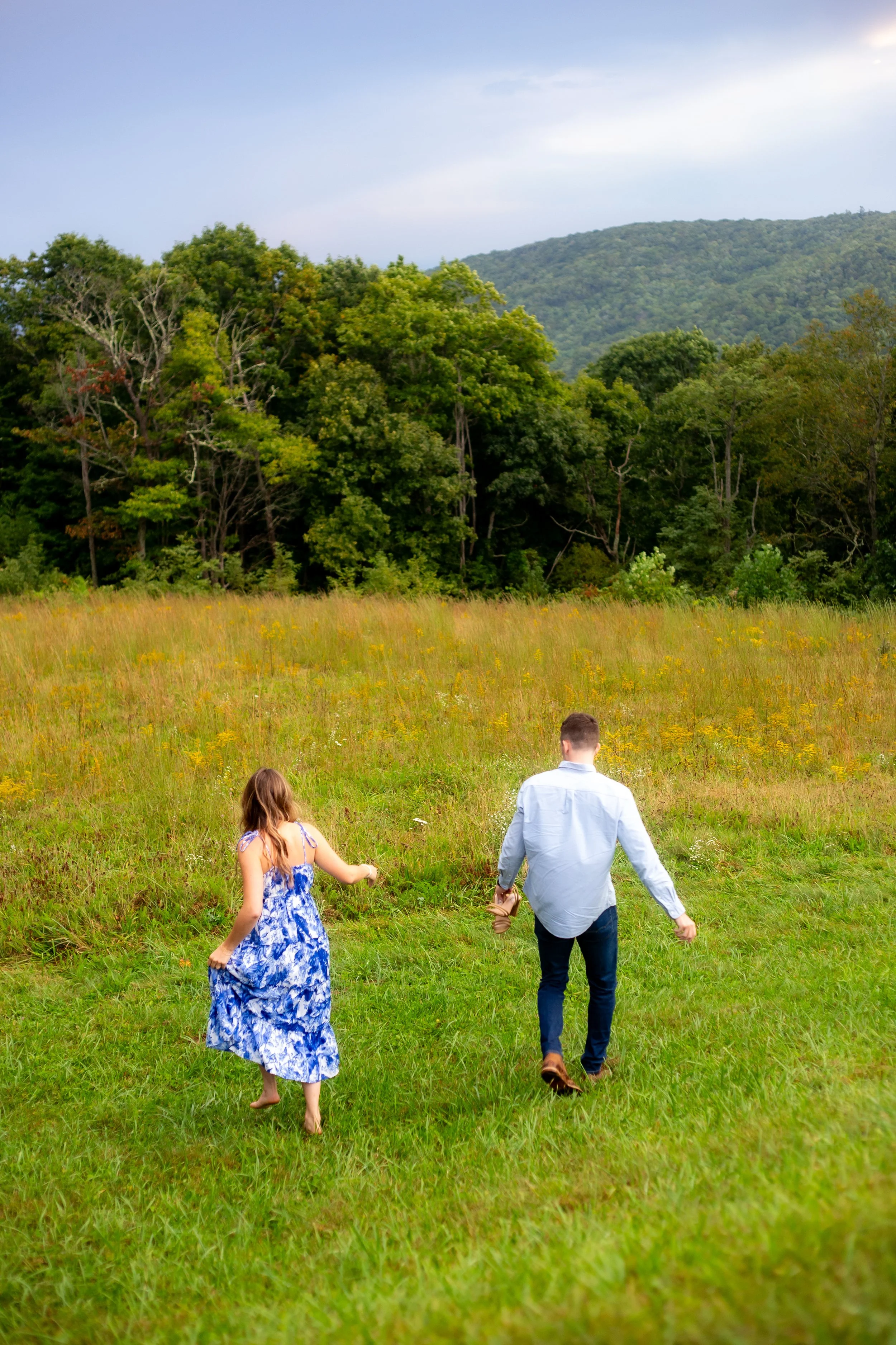 LinvilleProposal126.jpg