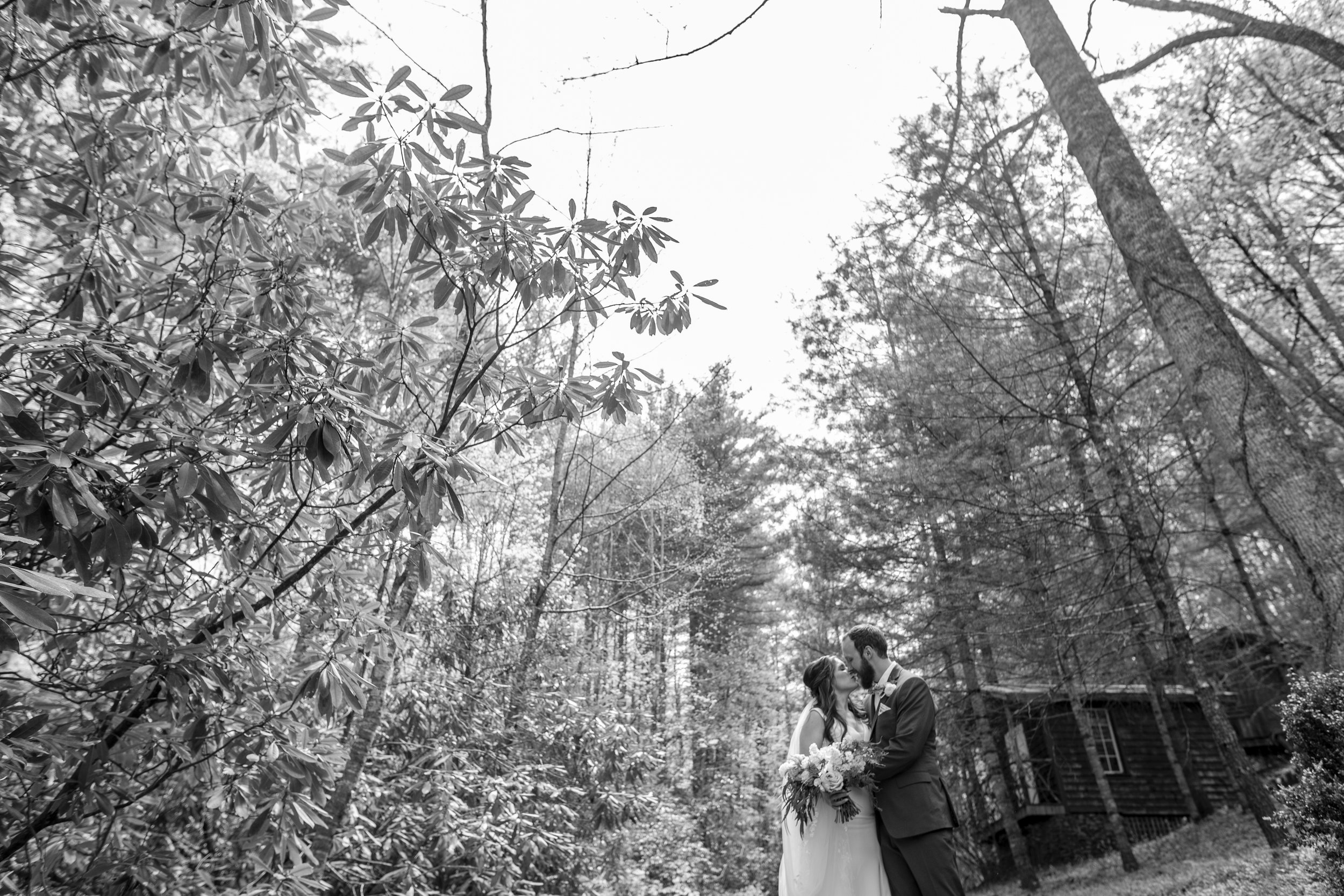 bettys-creek-vineyard-wedding135.jpg