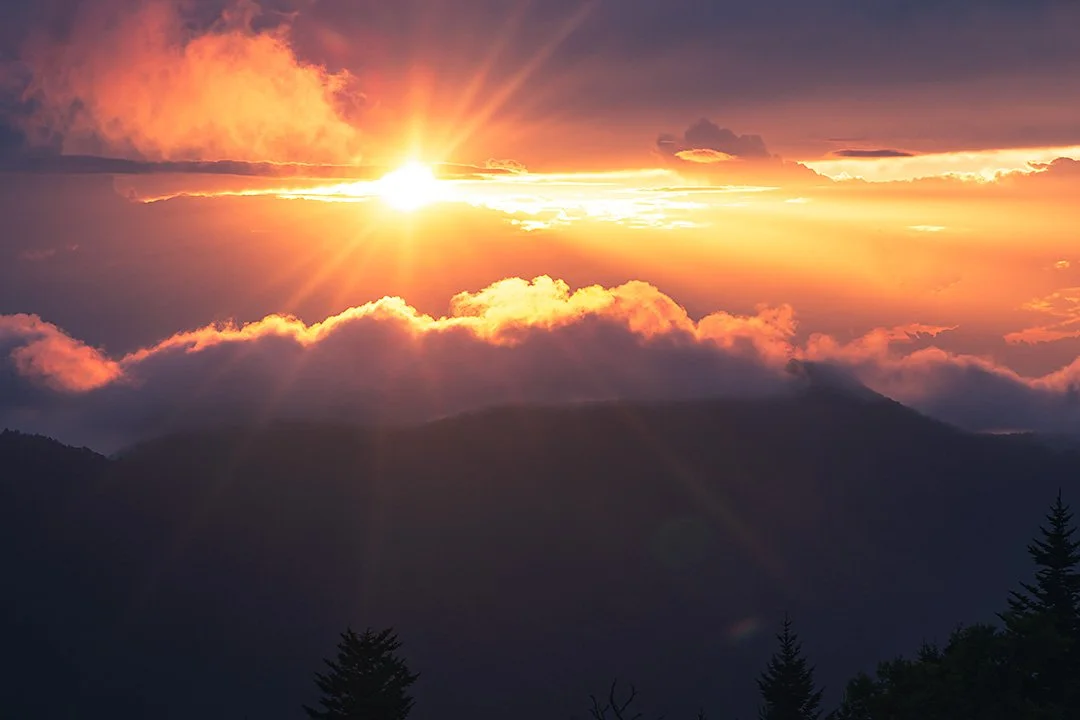 Sunset over mountain range with clouds and silhouettes of trees in the foreground.