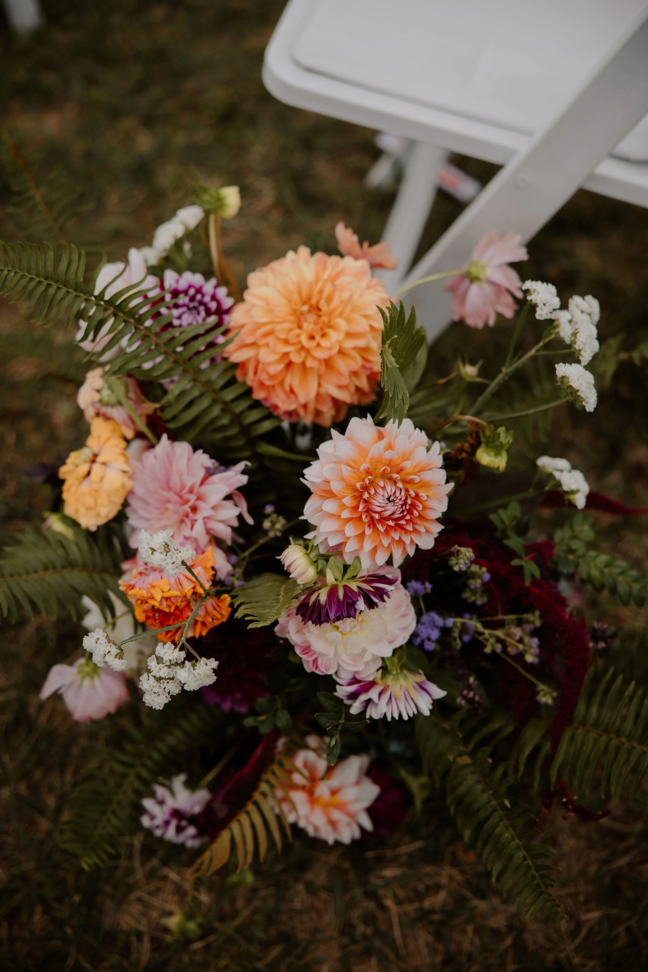 IMG_8521.jpeg