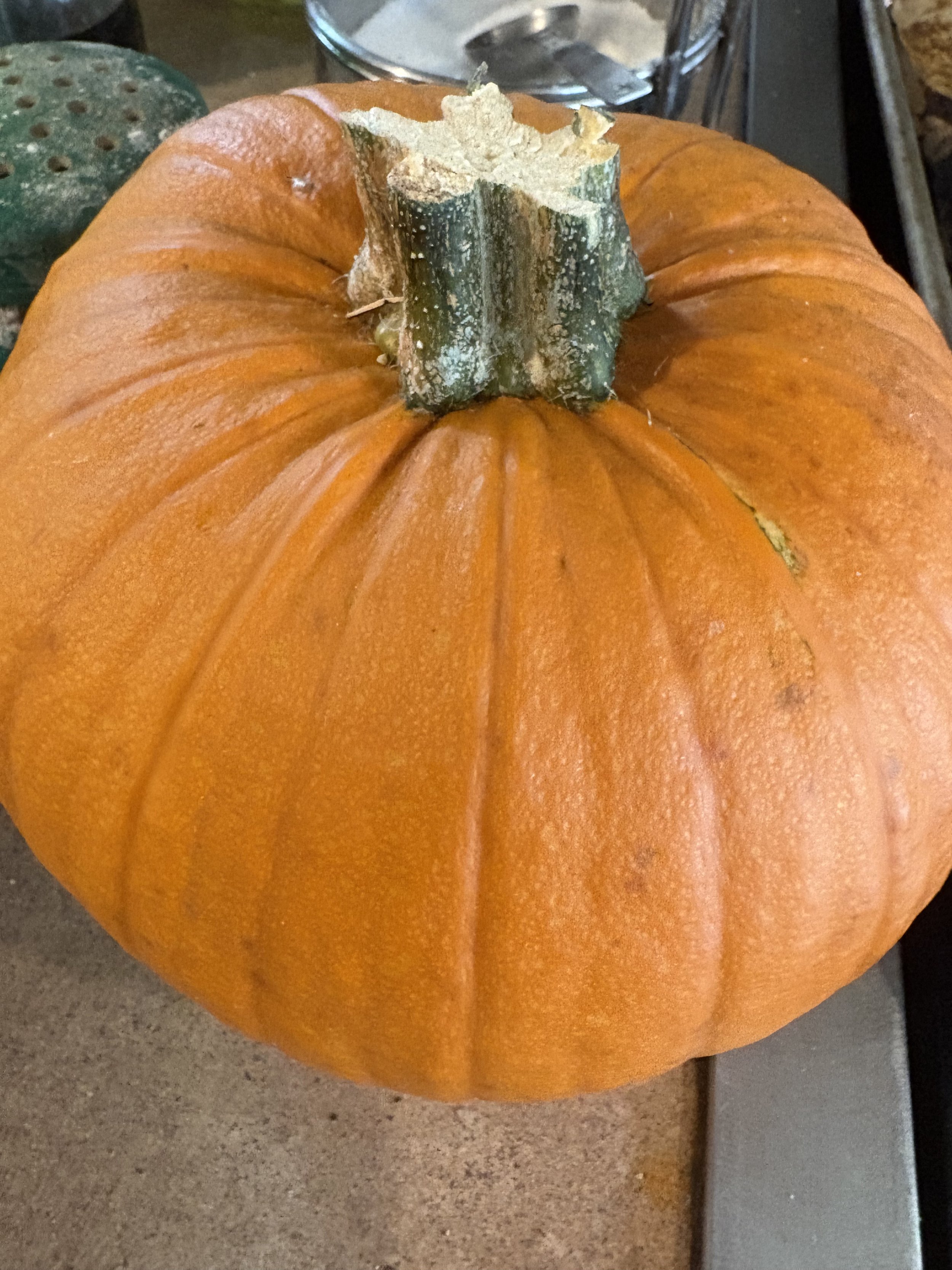 IMG_8971.jpeg