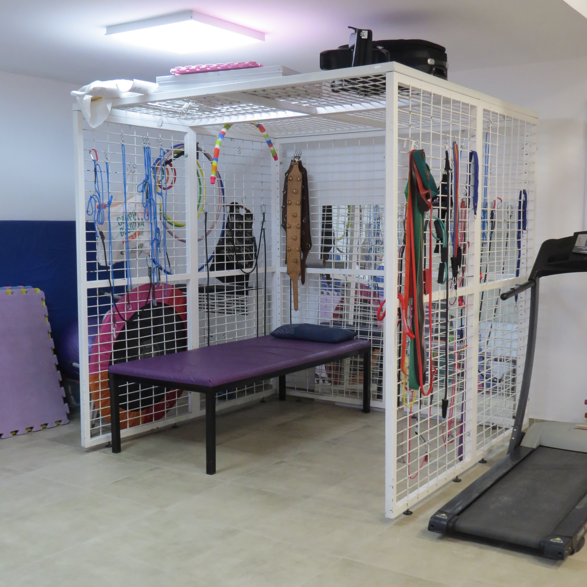 Espacio de rehabilitación con jaula de malla blanca, bandas elásticas, correas y varios accesorios para rehabilitación, en un gimnasio y una caminadora eléctrica.