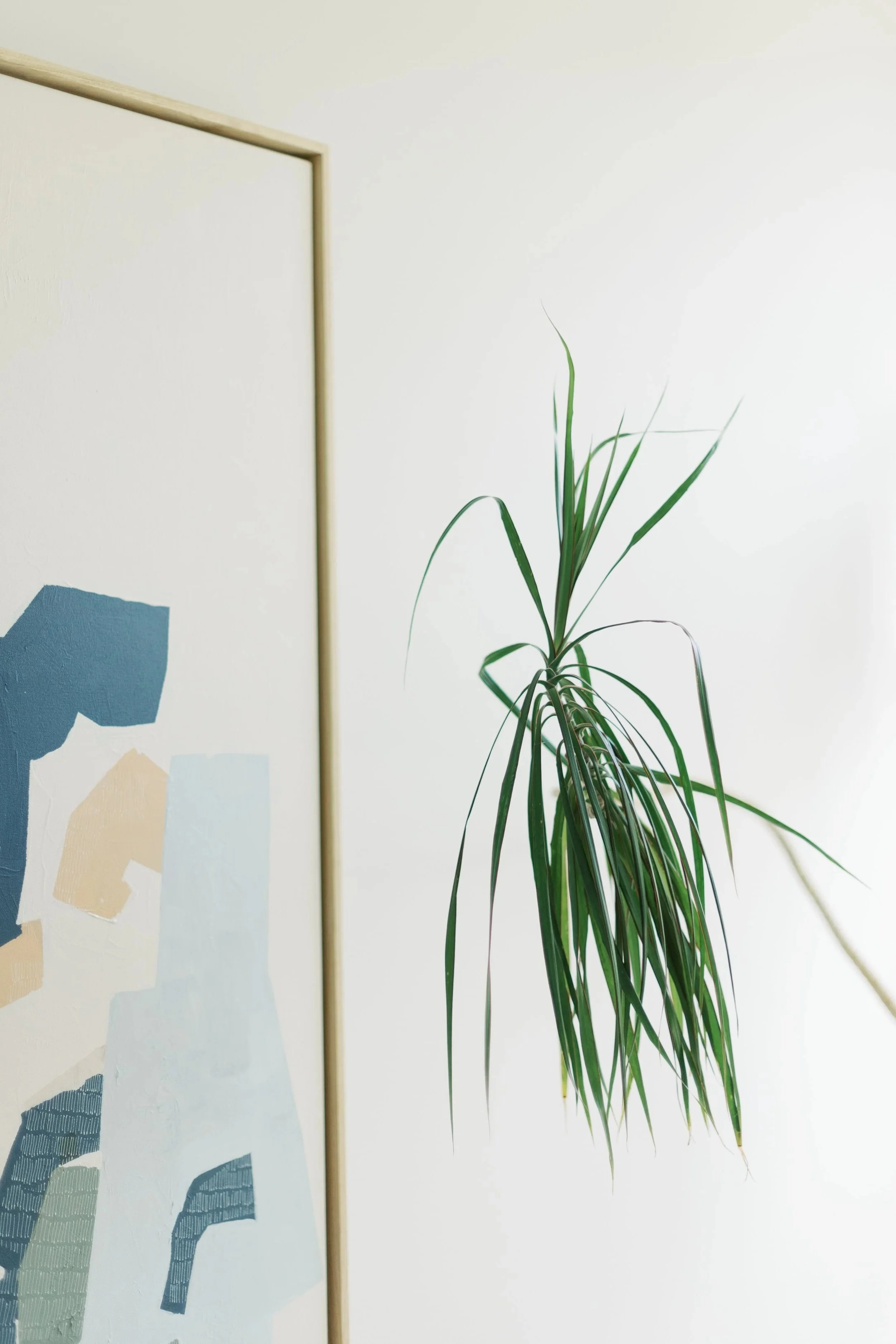 A white wall with an abstract painting featuring animal shapes and a tall green houseplant with long, narrow leaves.