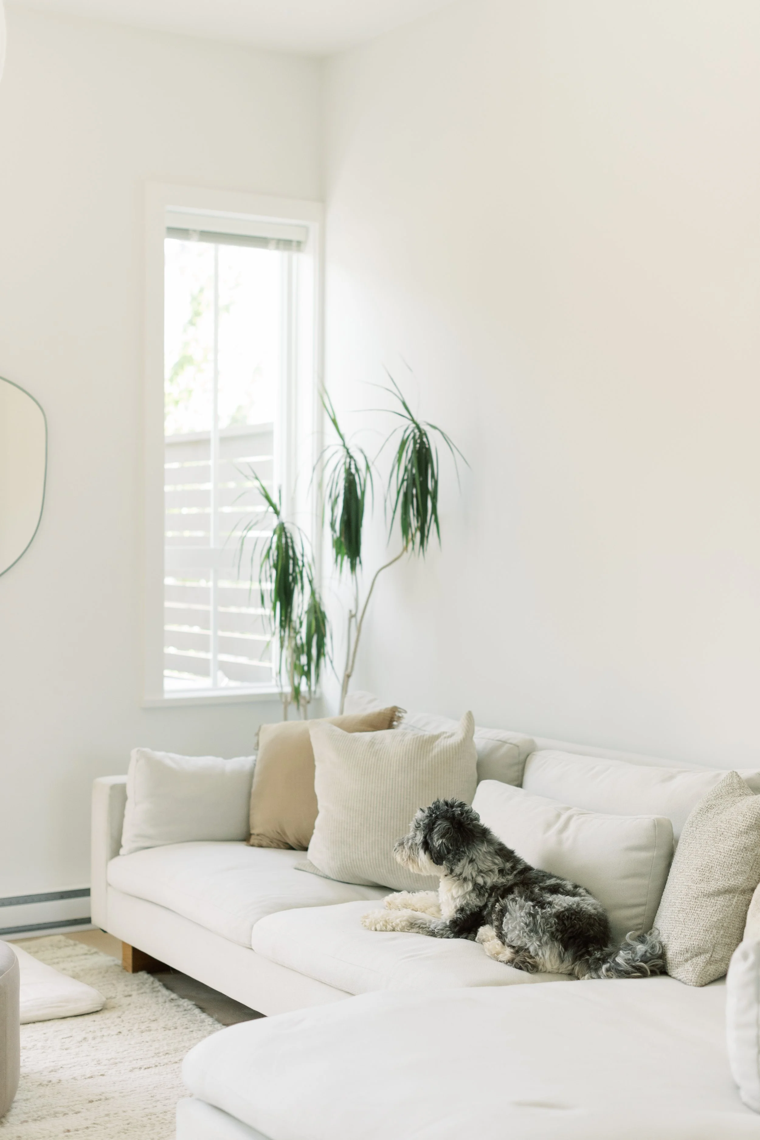 Mortgage Pre-Approval: What You Need to Know
