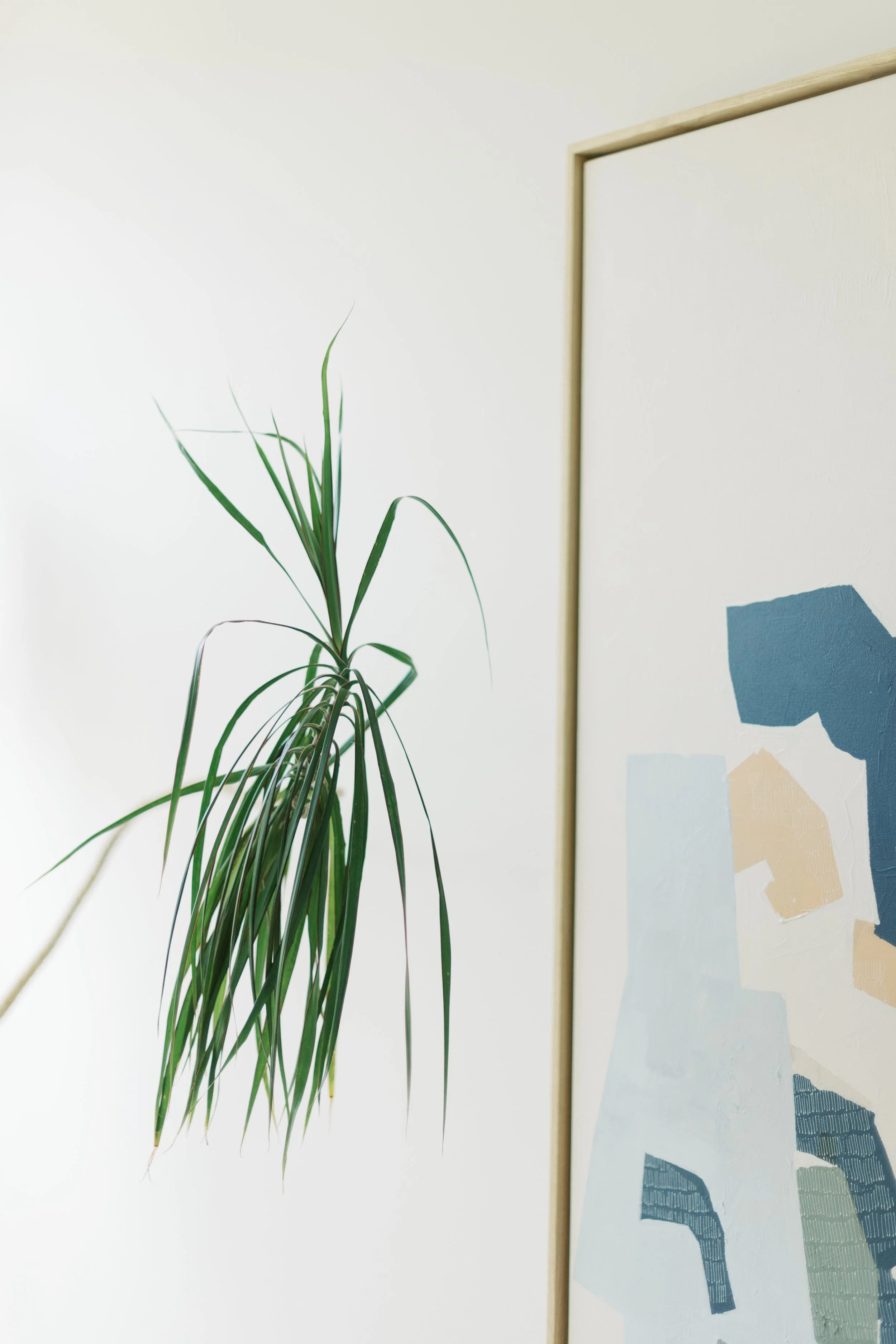 A potted green plant with long, slender leaves positioned next to a framed abstract art print on a plain, off-white wall.