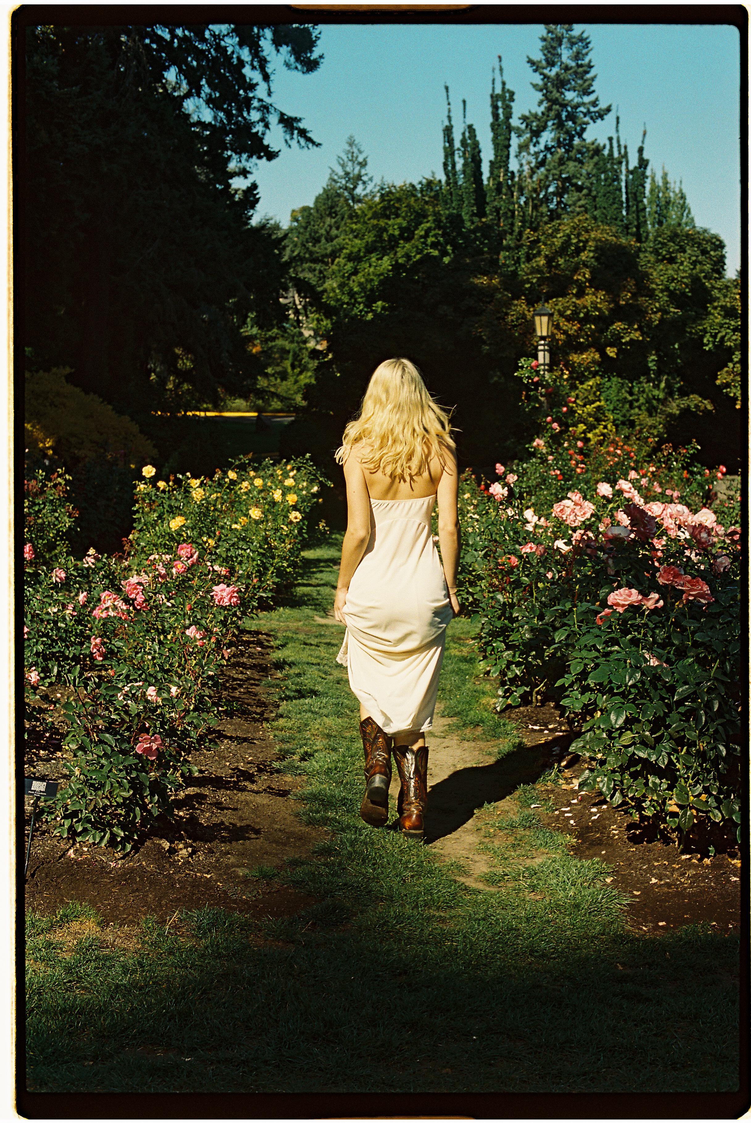 Rose Garden, 2023