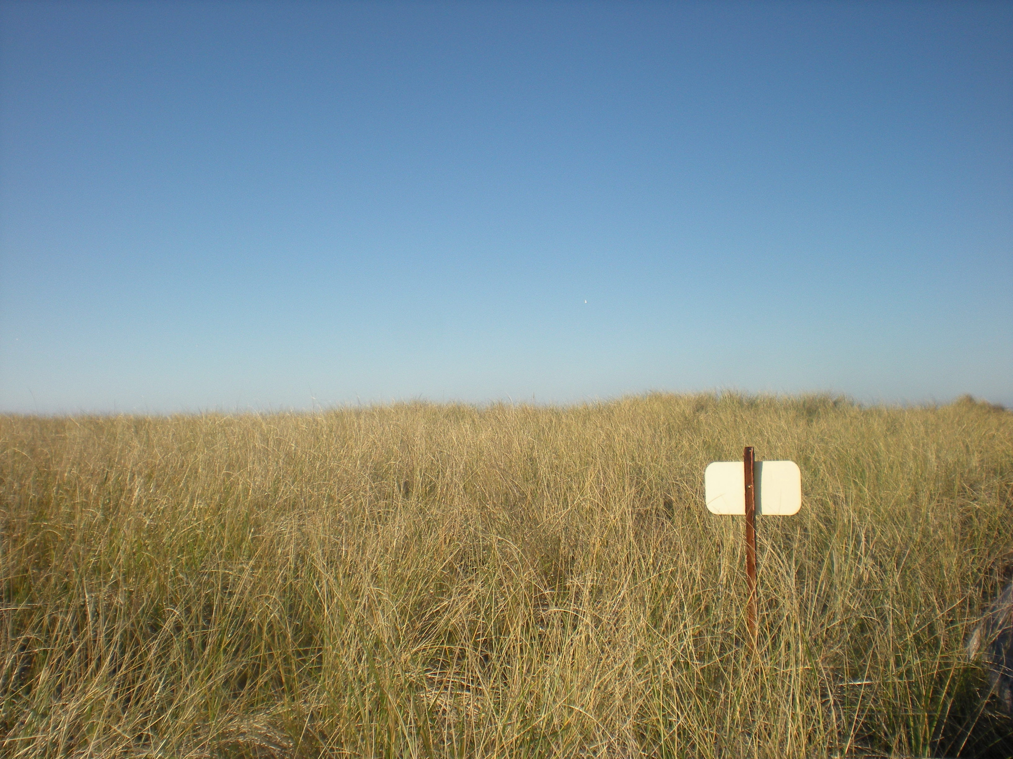 Rockaway Beach, OR