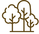 Line drawing of trees and clouds.