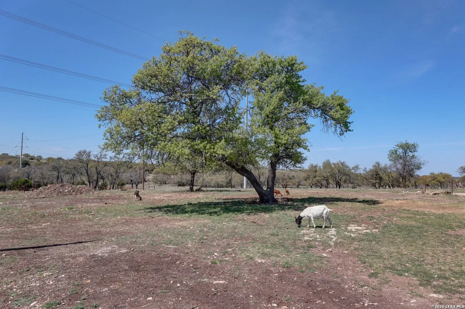 24-368290f4-1920w.webp