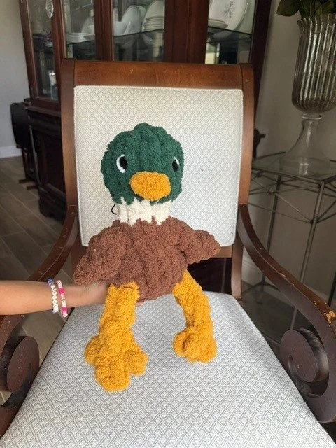 Murray the Mallard, The Dream Starter
