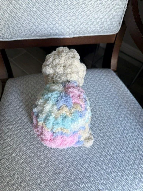 Mini Turtle 2.jpg