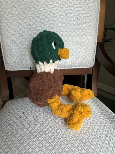 Murray the Mallard 2.jpg
