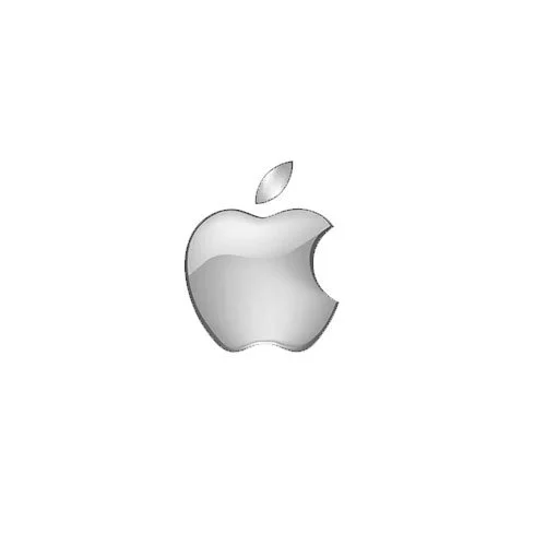 Silver Apple logo centered on a white background