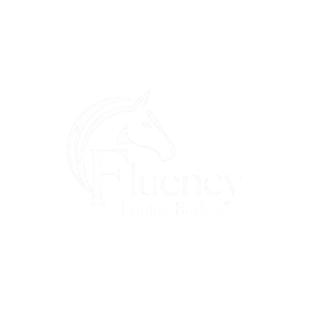 Fluency Equine Bodywork 