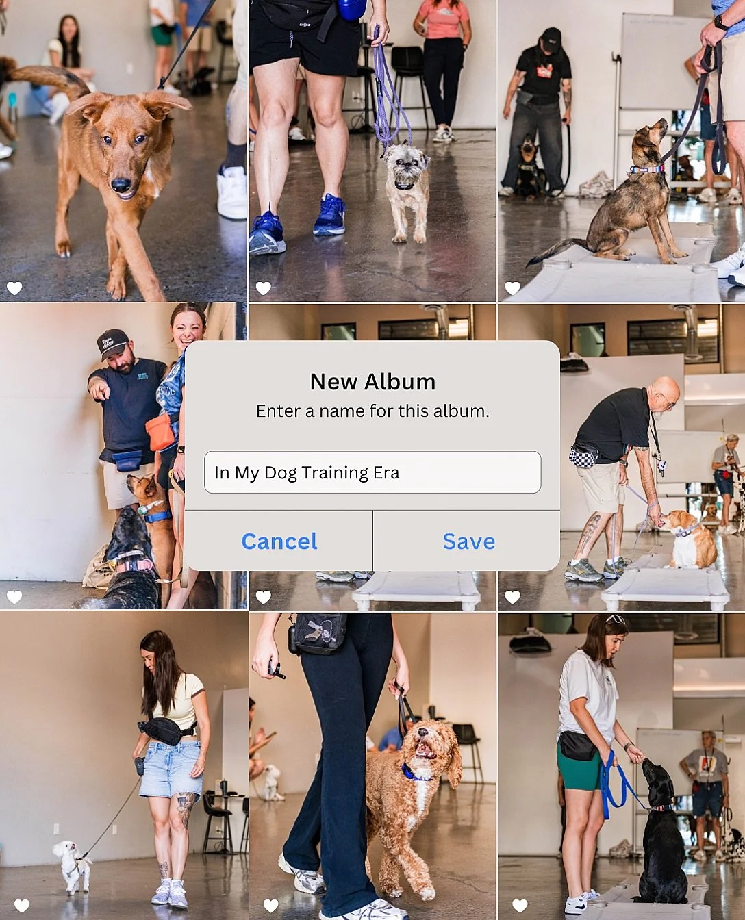 We are in our #dogtrainingera !! Thank you everyone for making our group class so lovely!!! 

#dogtraining #lasvegas #dogtrainingvegas