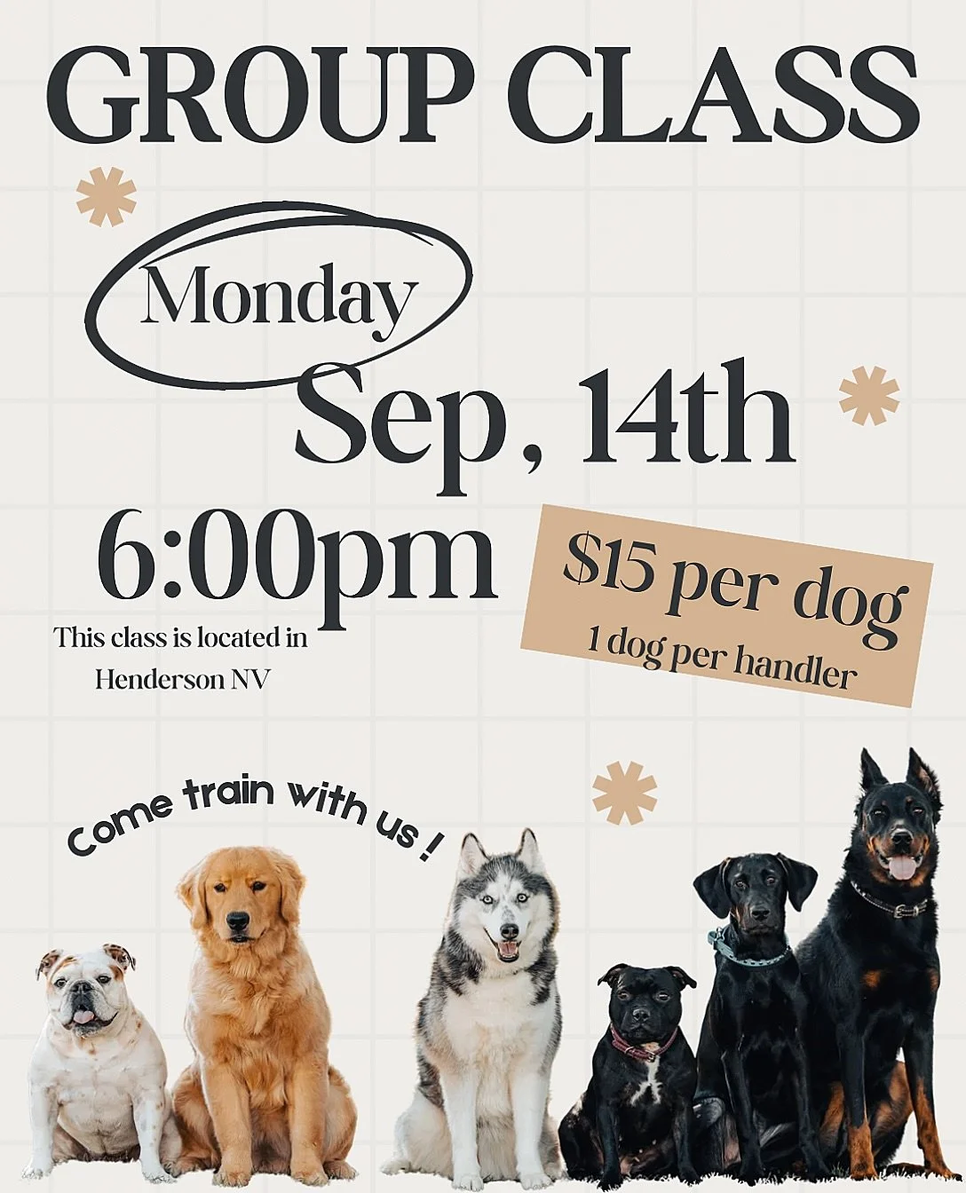 Group class is back!

If you&rsquo;ve been wanting to work around other dogs, improve your handling skills, or simply give your dog more opportunities to practice being neutral in the real world, this is for you.

Our group classes are about so much 