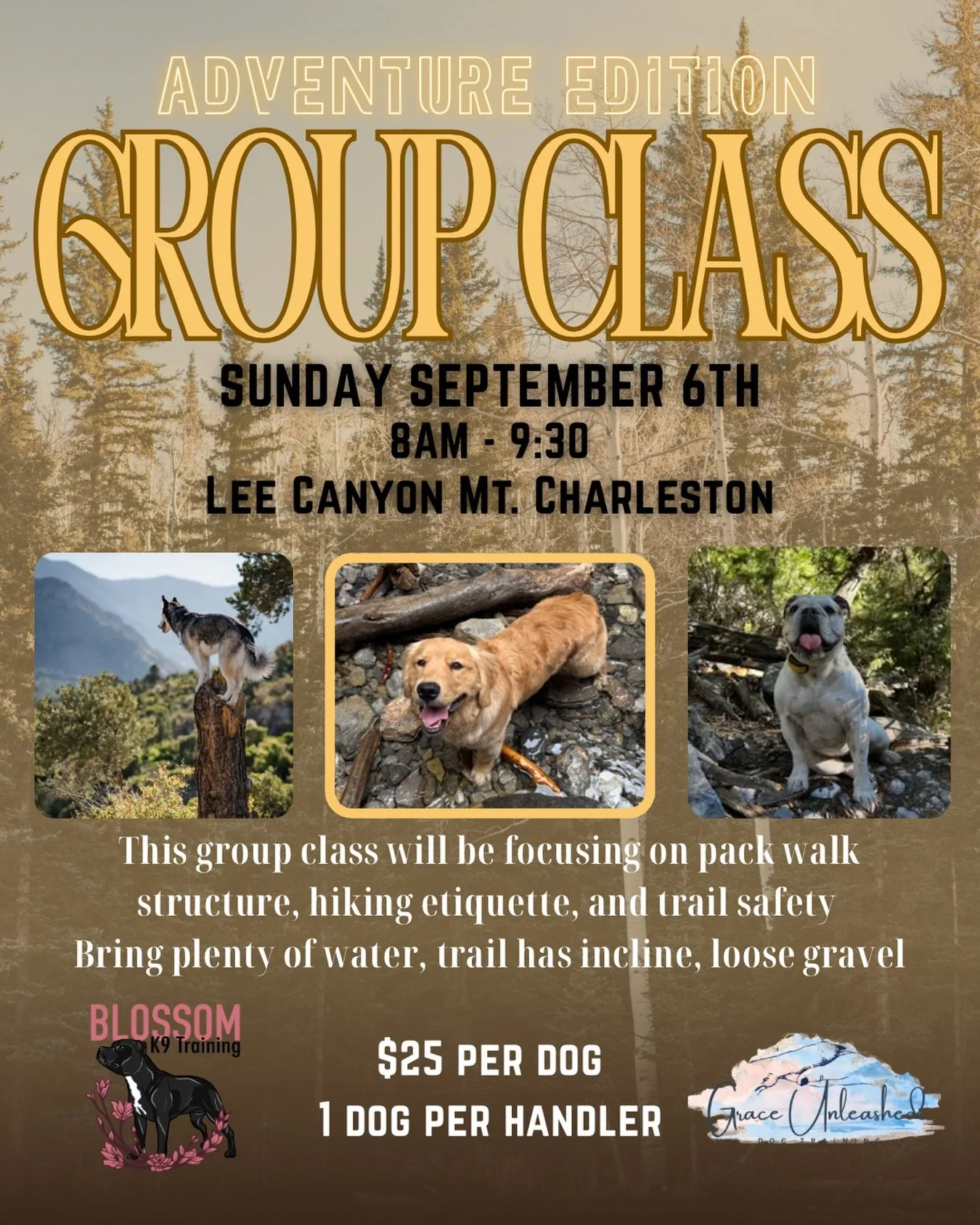 Need a break from the heat?! 

Join us Sunday, September 6th in Mt. Charleston for an early morning adventure with your dog!

This group class is all about getting outside, moving with your dog, and learning how to navigate the trail together. We&rsq