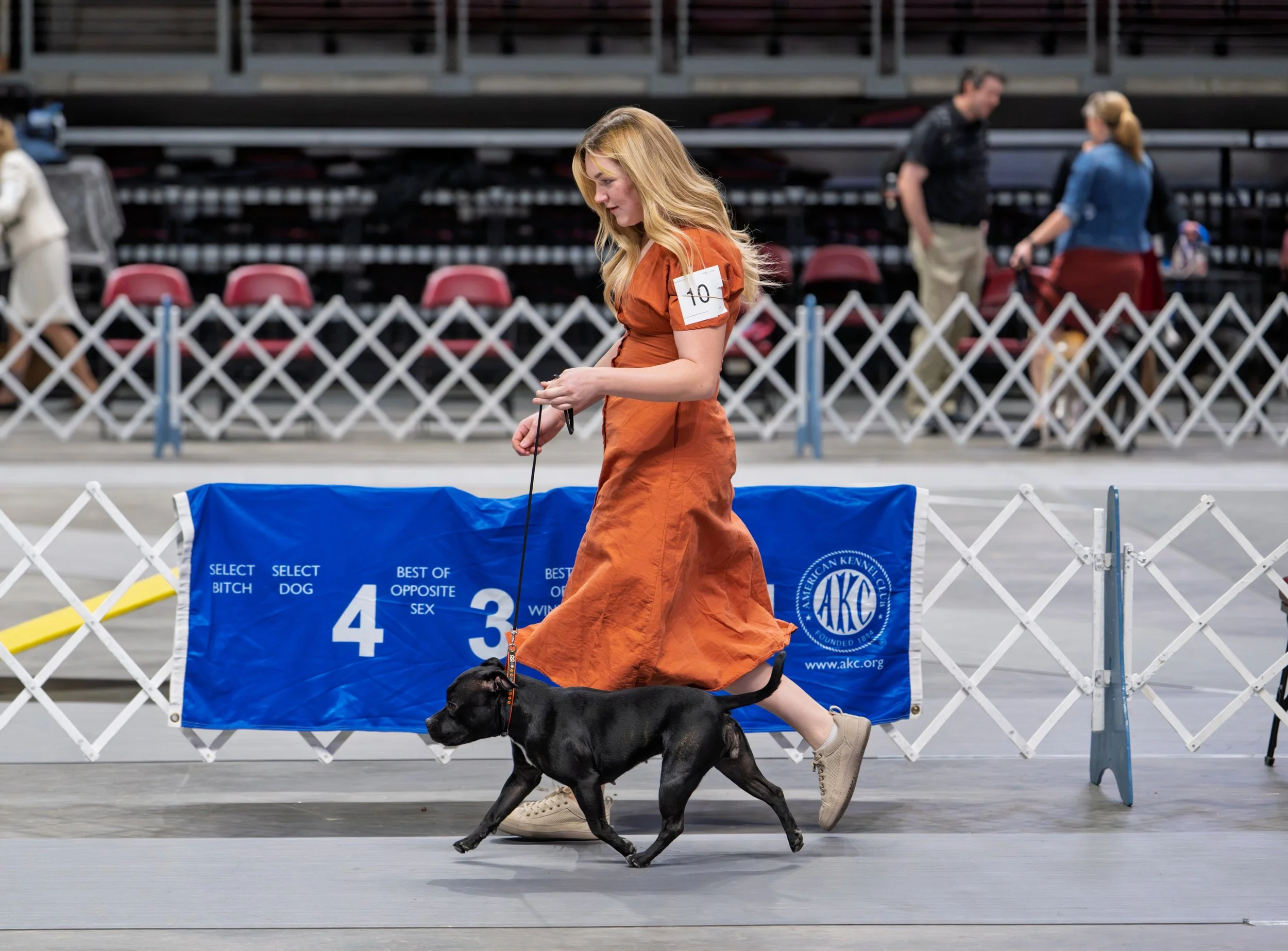 I cant thank Sedona enough for making all my dreams come true ! 2026 has been such an amazing year for her 
She is officially retired from AKC conformation ! 

GRAND CHAMPION Willaby&rsquo;s Mo Chro&iacute; RA (Rally Advanced)TKN (novice trick dog ) 