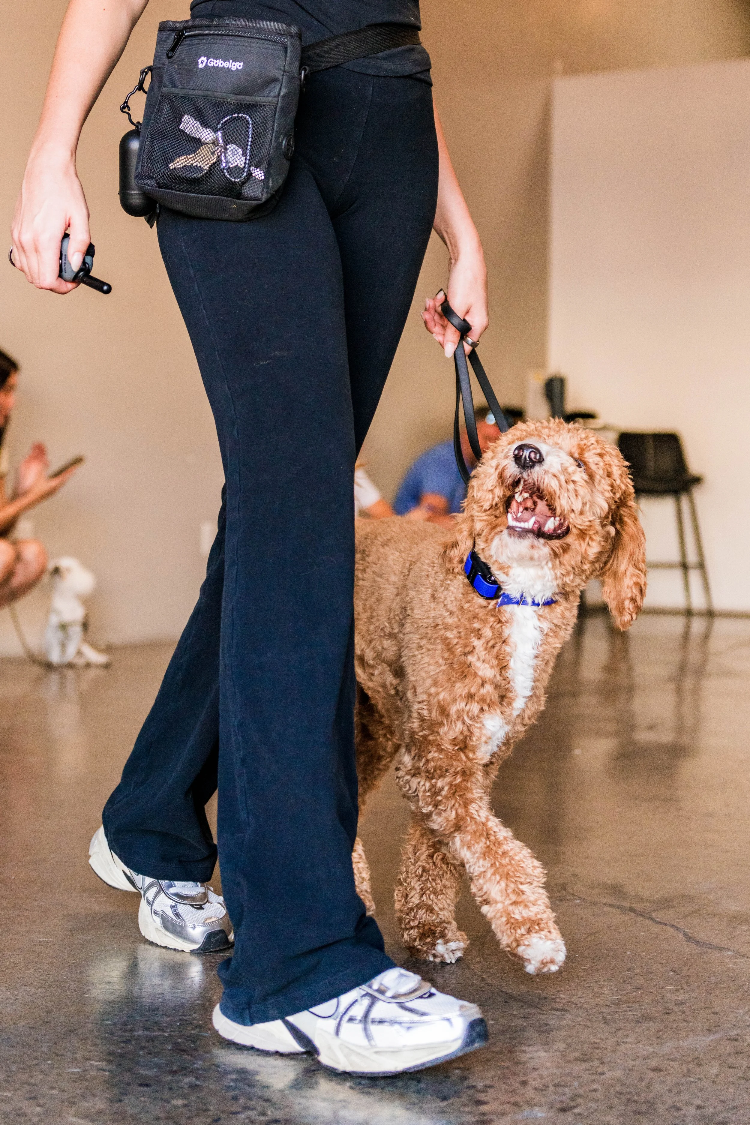 A person walking indoors with a small brown, curly-haired dog on a leash. The person is wearing black pants, a black shirt, and white sneakers with black accents. The person has a small black crossbody bag with a mesh pocket containing keys and other items. The dog's mouth is open, showing its teeth, and it appears happy.